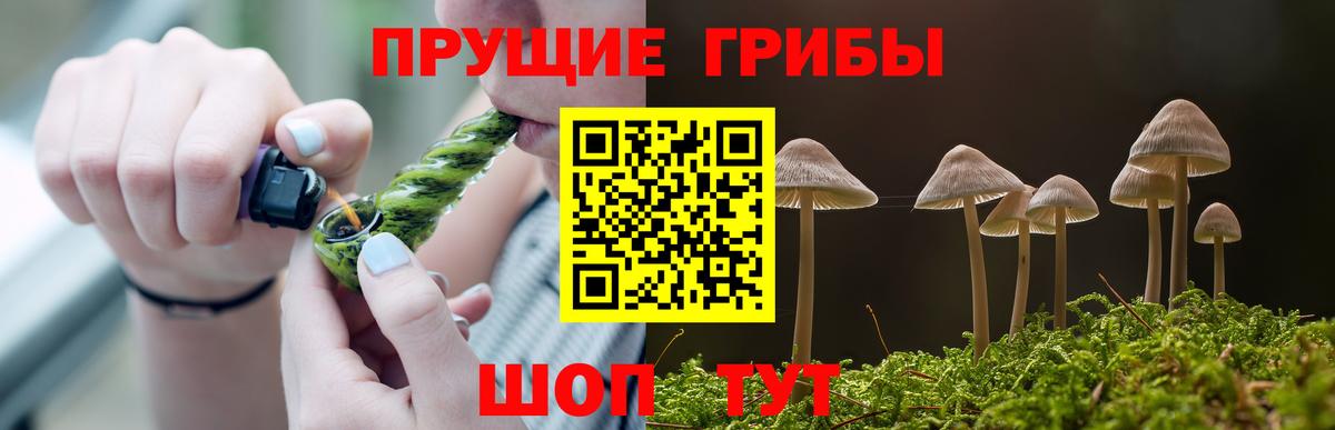 Галлюциногенные грибы Psilocybine cubensis Миллерово